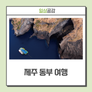 제주 자연을 오롯이 느낄 수 있는 동부 여행 ··· 우도, 비자림, 돌문화공원 등(Feat. 당일치기)