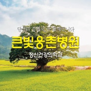 큰빛웅촌병원-정신건강의학과(비급여 진료비용-의무기록 사본발급 안내 2024.5)