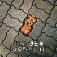 제목 없음