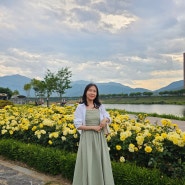 경남 밀양 5월 가볼만한곳 :: 삼문동 수변공원 장미공원