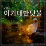반딧불시즌 - 부산 이기대 반딧불이촬영