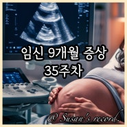 임신 9개월 증상 가진통 배 35주차 태아 몸무게 배뭉침