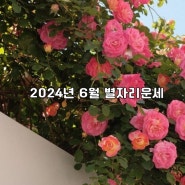 2024년 6월 별자리운세 +연애운, 금전운