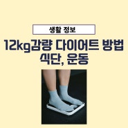 12kg 감량 다이어트 방법, 식단, 운동