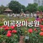 [이곡장미공원] 대구 가볼만한 곳 꽃구경 장미원 달서구 성서 장미축제 주차 먹거리 꽃놀이