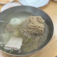 서울 평양냉면 맛집 평양면옥 도곡점 장충동계열 깔끔한맛