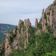 두타산 산행(댓재 두타산 배틀봉 2024.06.07.