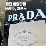 [24년 5월 후쿠오카] 텐진 이와타야 백화점, 프라다 셀린느 구매 후기