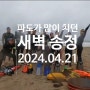 파도가 많이 치던 2024년04월21일 일요일 바다갈매기핀 부산송정바다수영 이야기