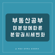 부동산 공부 미분양에 따른 분양권 시세 변화: 서울