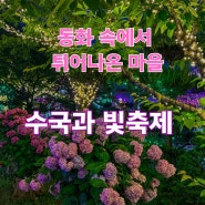 태안 빛축제,네이처월드의 기본정보와 만개한 수국 후기