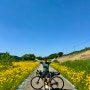 국토종주 금강자전거길 Day1 : 공주종합버스터미널~공주보~백제보~강경역(60km)