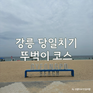 강릉 당일치기 뚜벅이 여행코스