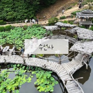 산청수선사 -- 경남산청 연꽃연못정원 가볼만한 곳