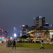 서울 산책하기좋은곳 볼거리 많은 광화문광장