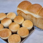 [홈베이킹] 손 반죽 생크림 식빵, 생크림 모닝빵 만들기 / 생크림 처리 제빵