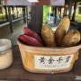 가고시마 여행::가고시마 특산품 고구마 소주를 체험할 수 있는 '사츠마무소쿠라(さつま無双蔵)'
