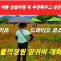 [지금 현재~] 남양주 가볼만한곳 물의정원 양귀비 가장 정확한 개화상황 알려드릴께요