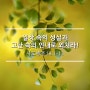 일상 속의 성실과 고난 속의 인내로 외치라! / 사도행전 18:1-11