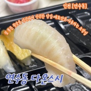 인천 연수동맛집 추천 신선한 당일 재료만을 사용하는 초밥집 연수동다온스시 포장후기 가격정보 주차정보