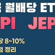 JEPI = 월배당 8% + S&P500 주가 상승까지?!