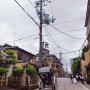 오사카 교토 먹방여행 맛집 이야기 9. 마에다 커피 카레&커피 맛집(ft.히사고, 쇼와의 날 연휴)