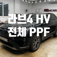 상계동 중계동 하계동 PPF 토요타 5.5세대 라브4 하이브리드 전체 PPF 완성하였습니다.