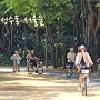 성수동 서울숲 데이트 주차장 정보 사슴, 놀이터 숲길 산책로
