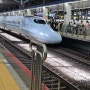 일본 여행 :: 하카타역에서 구마모토가기 레일패스 사용방법, 구마모토역 코인락커위치
