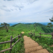 [민둥산] 초록동산 민둥산