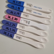 [임신준비부터 임신 7주차까지] 마리아플러스 나팔관조영술, 난포주사, 졸업, 임산부등록까지