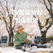 방송촬영 | SBS <TV동물농장> 꿀이를 부탁해 사진 촬영 이야기