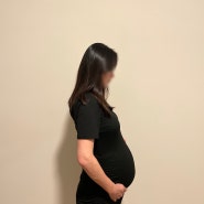 임신 25주차 26주차 27주차 28주차 : 임당검사 증상 태동 배크기 체중변화