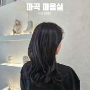 마곡역 발산역 미용실 여성 레이어드컷