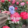 2024 울산대공원 장미축제 후기 + 대공원 샤브샤브 맛집