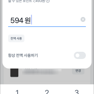 토스 포인트 쓰라는 건가? 숫자입력키패드 UI 에러