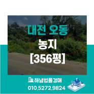 대전 동구 오동 대청호 인접 농지 356평 법원경매
