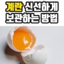 달걀 보관하는 방법 신선한 계란 고르는 방법 꿀팁