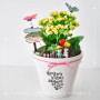 오산 화성초등학교 병설유치원 학부모참관수업 원예키트 우리가족 행복담은 반려식물만들기