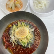 원주 문막 현지인 맛집 속초회냉면 후기