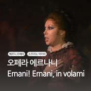 [클래식/오페라] 오페라 에르나니 (Ernani! Ernani, in volami)