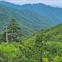 지리산 벽소령 남북 종단 산행_ 함양 마천에서 하동 화개까지.