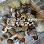 큰구슬우렁이 골뱅이해감 및 손질방법