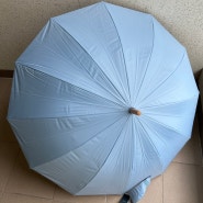 장 양우산 샀다!(내돈내산) : 카르페디엠 파스텔 자외선차단 암막 자동 장우산