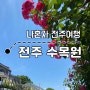 나혼자 전주 1박2일 여행 일정: 6월 장미꽃 만개한 전주 수목원