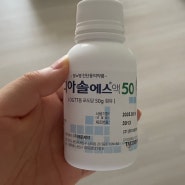 임당검사 꼭 식단관리 필요할까? 25주 임당 검사 결과 임산부 다리 붓기 의료용 압박밴드 처방 후기