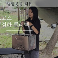 캠핑 소프트쿨러 가벼운 로고스 쿨러백 40l 정보 사용후기