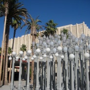 LACMA [Los Angeles County Museum of Art]