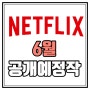 넷플릭스 6월 공개예정작 줄거리 공개일 출연진 정리 하이라키 별똥별 미스터리수사반 등