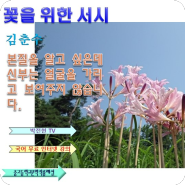 김춘수 꽃을 위한 서시 해설